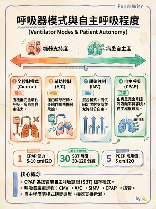 物治 - 胸腔手術、肺移植與呼吸器 - AI 圖文解析預覽