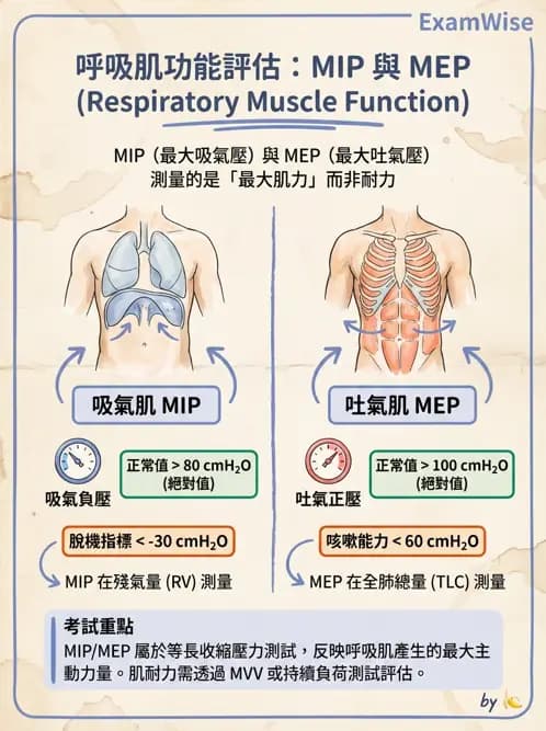 物治 - 肺功能測試與血氣體分析 - AI 圖文解析預覽