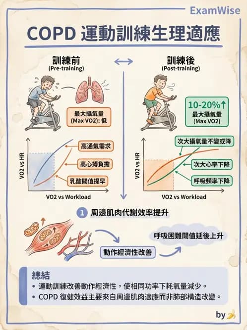 物治 - 阻塞性肺疾病物理治療 - AI 圖文解析預覽