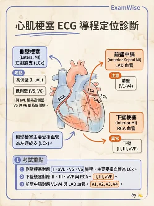 物治 - 心電圖判讀 - AI 圖文解析預覽