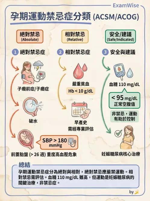 物治 - 特殊族群運動處方與健康促進 - AI 圖文解析預覽