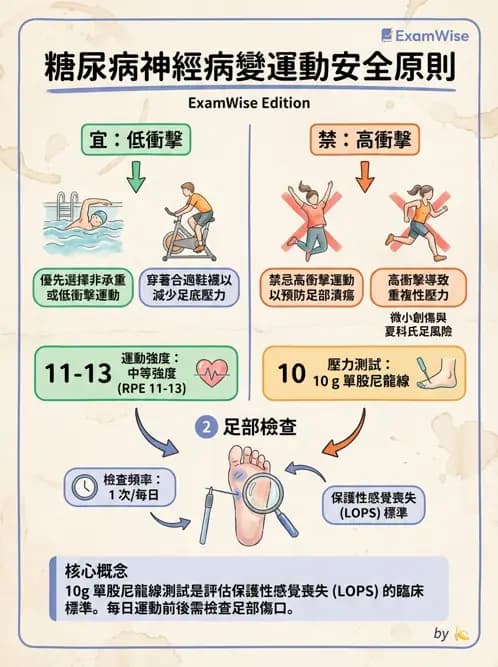 物治 - 特殊族群運動處方與健康促進 - AI 圖文解析預覽