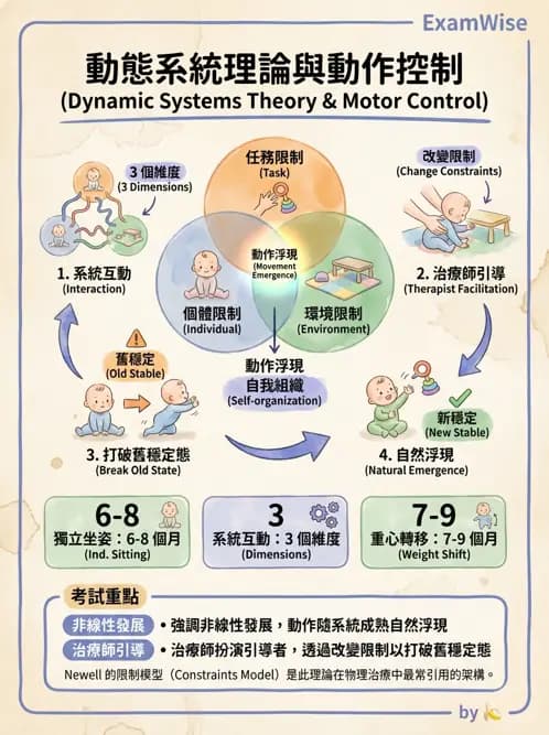 物治 - 小兒物理治療基礎與原理 - AI 圖文解析預覽