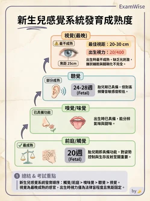 物治 - 兒童發展里程碑(動作與認知) - AI 圖文解析預覽