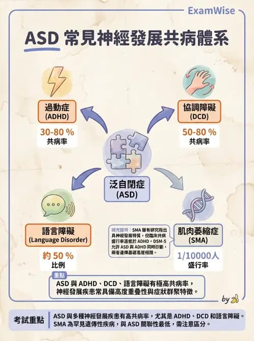 物治 - 自閉症障礙物理治療 - AI 圖文解析預覽