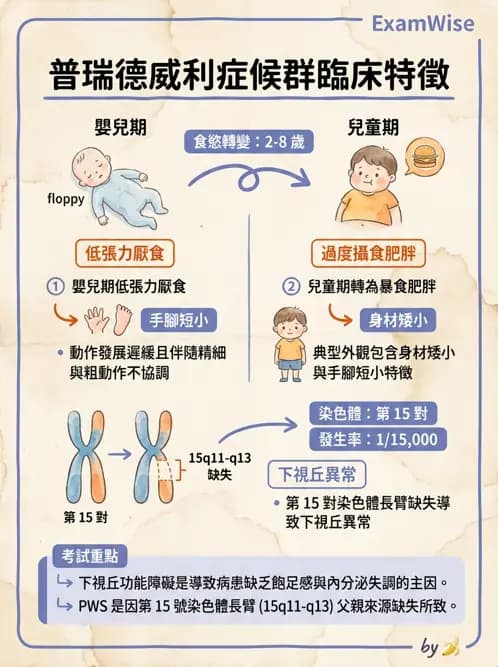物治 - 智能障礙與基因症候群 - AI 圖文解析預覽