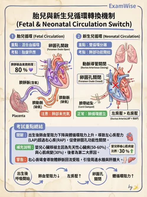 物治 - 小兒心臟、癌症與外傷物理治療 - AI 圖文解析預覽