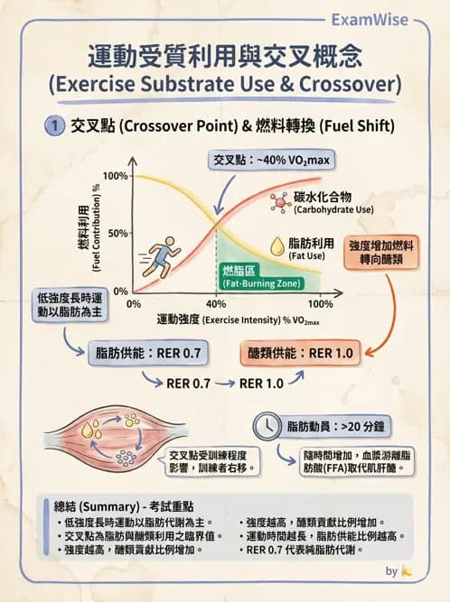 物治 - 能量代謝與運動適應 - AI 圖文解析預覽