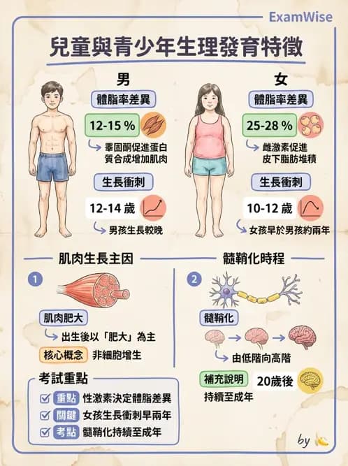物治 - 骨骼生理與發展老化 - AI 圖文解析預覽