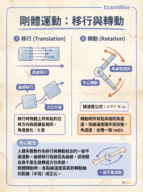 物治 - 關節運動學與生物力學計算 - AI 圖文解析預覽