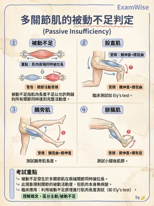 物治 - 肌肉力學與感覺運動控制 - AI 圖文解析預覽