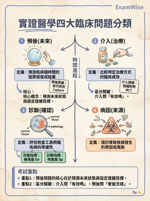 物治 - 實證臨床應用流程 - AI 圖文解析預覽