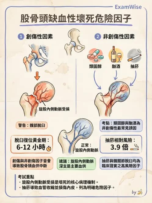 物治 - 骨科與外科疾病 - AI 圖文解析預覽