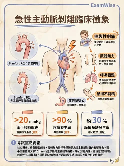 物治 - 心肺系統疾病 - AI 圖文解析預覽