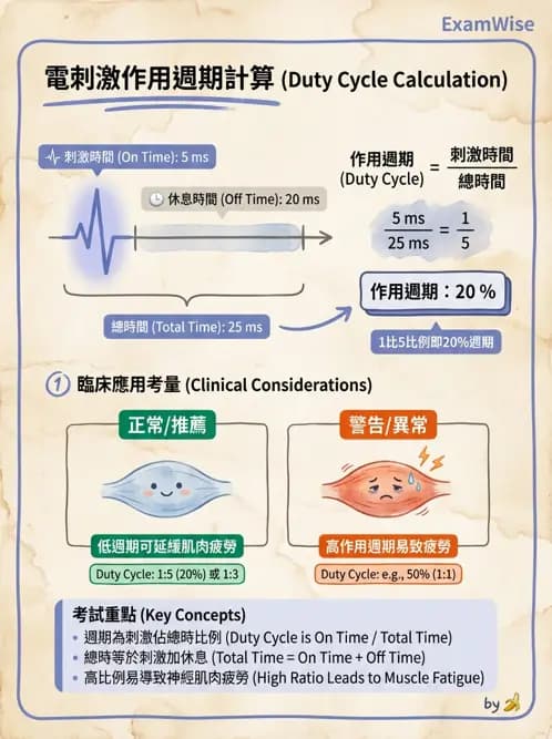 物治 - 經皮電刺激與電療基礎 - AI 圖文解析預覽