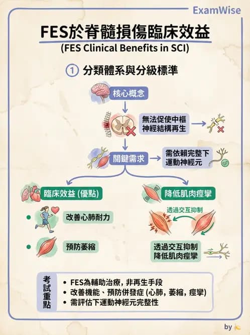 物治 - 功能性電刺激 - AI 圖文解析預覽