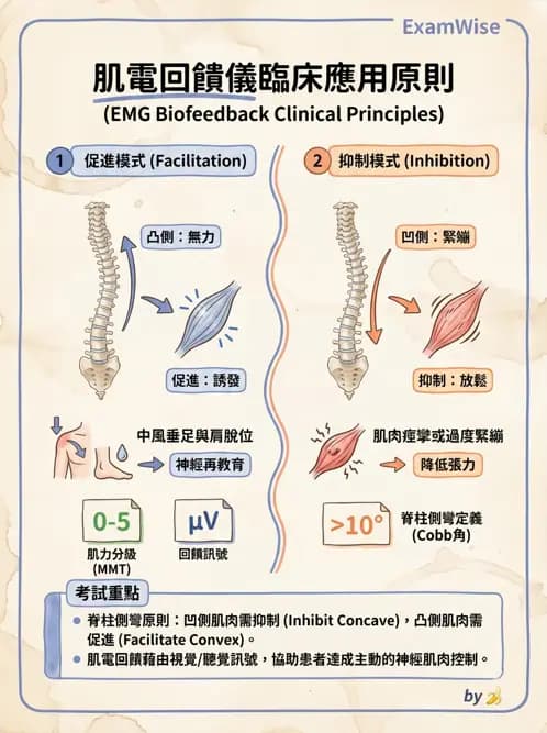 物治 - 肌電生物回饋 - AI 圖文解析預覽