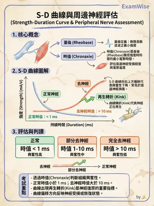 物治 - 電生理診斷 - AI 圖文解析預覽