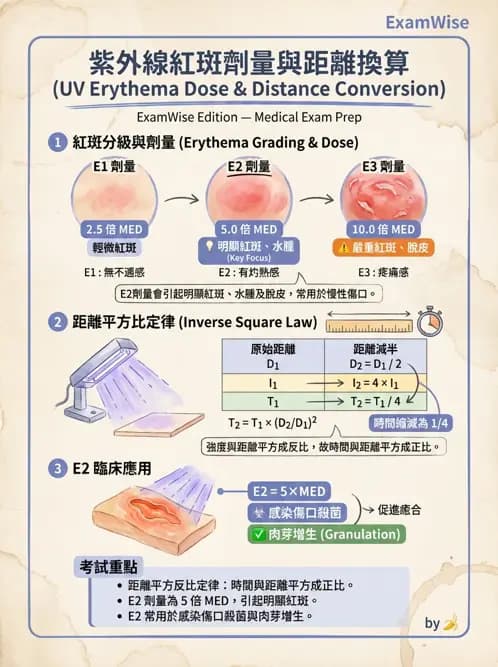 物治 - 紫外光 - AI 圖文解析預覽