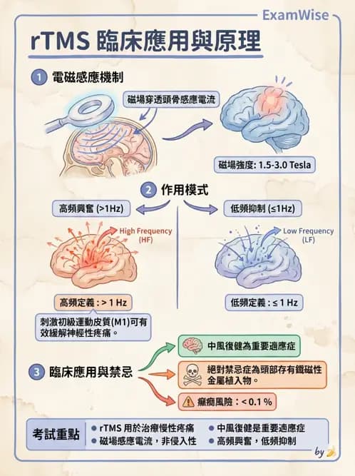 物治 - 物理因子特殊應用 - AI 圖文解析預覽