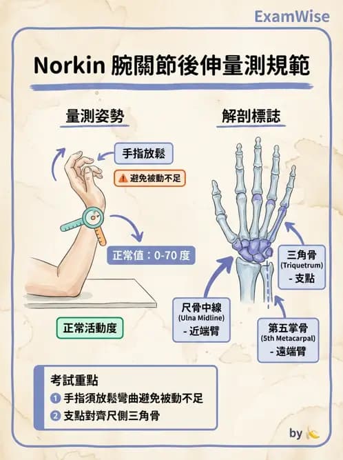 物治 - 上肢關節活動度 - AI 圖文解析預覽