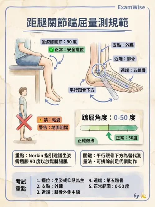 物治 - 下肢與脊椎關節活動度 - AI 圖文解析預覽