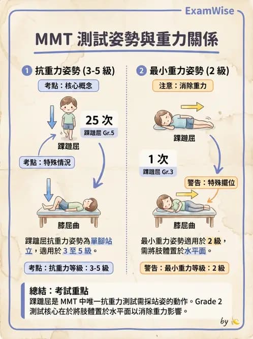 物治 - MMT通則、頭頸與軀幹 - AI 圖文解析預覽