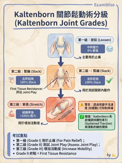 物治 - 鬆動術分級理論 - AI 圖文解析預覽