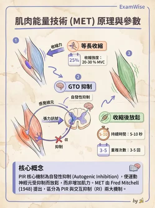 物治 - 鬆動術基礎概念與原則 - AI 圖文解析預覽