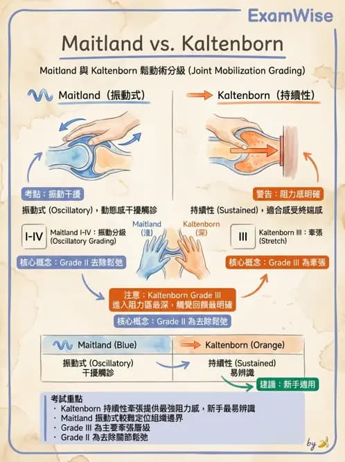 物治 - 鬆動術分級理論 - AI 圖文解析預覽