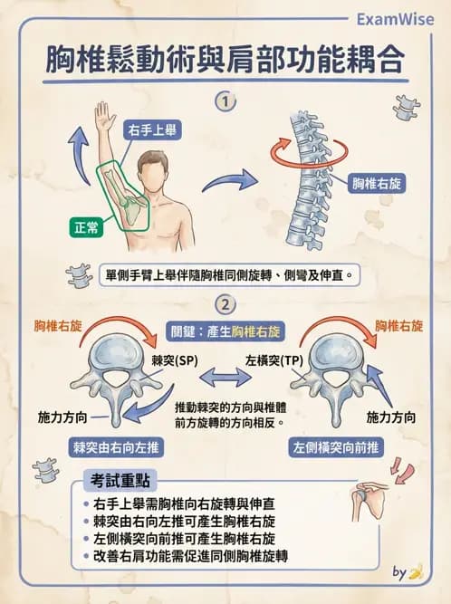 物治 - 脊椎鬆動術 - AI 圖文解析預覽