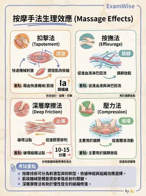 物治 - 瑞典式按摩與運動按摩 - AI 圖文解析預覽