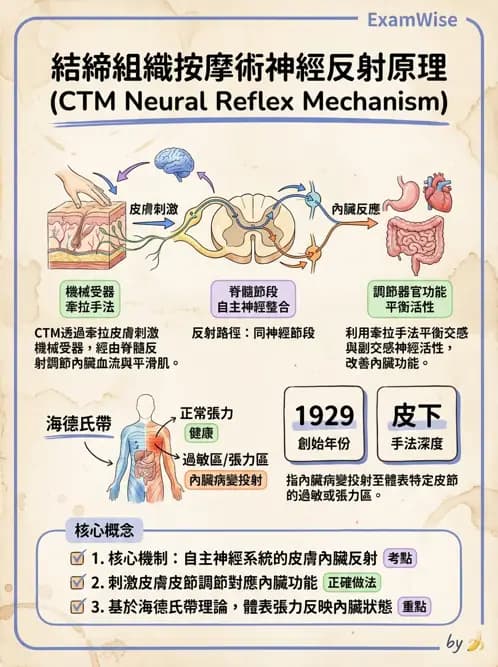 物治 - 深層摩擦按摩與結締組織技術 - AI 圖文解析預覽