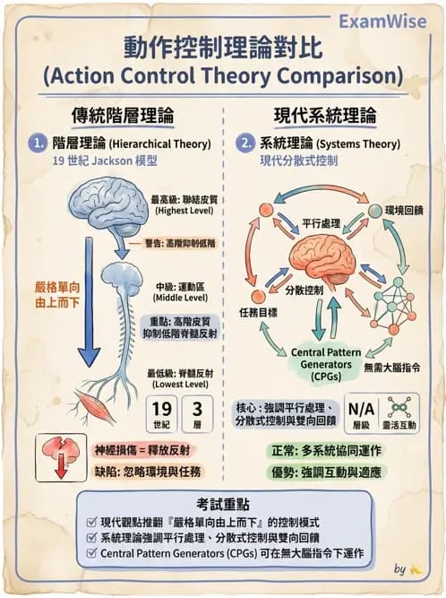 物治 - 動作控制理論 - AI 圖文解析預覽
