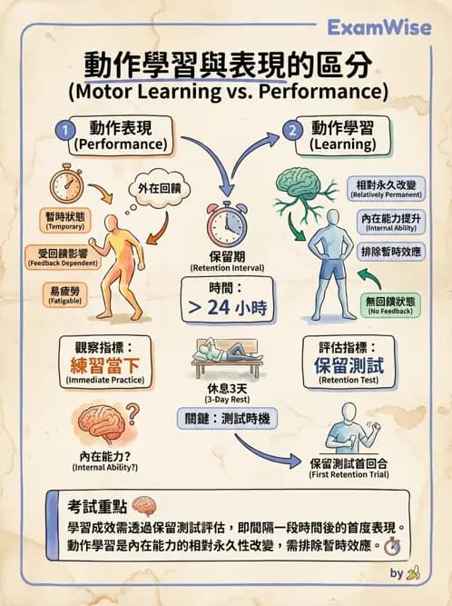物治 - 動作學習 - AI 圖文解析預覽