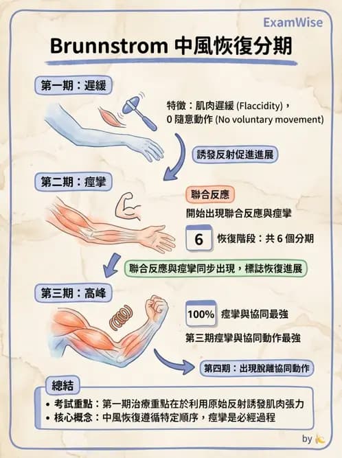 物治 - 腦中風動作評估與分期 - AI 圖文解析預覽