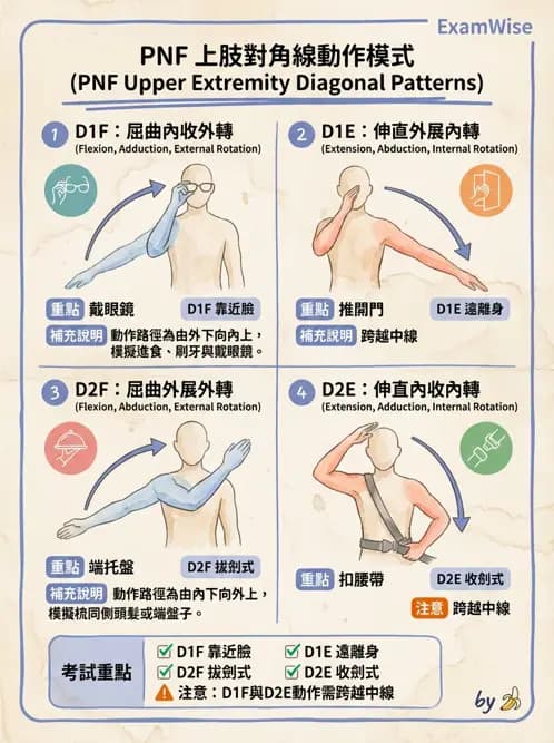 物治 - 腦中風治療手法應用 - AI 圖文解析預覽