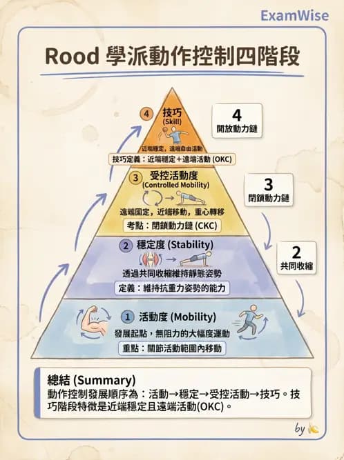 物治 - 神經治療學派技術 - AI 圖文解析預覽