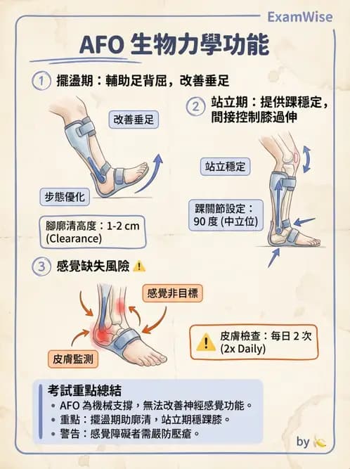 物治 - 腦中風步態分析與行走訓練 - AI 圖文解析預覽
