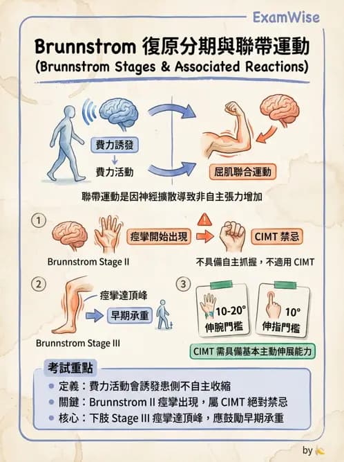 物治 - 腦中風動作評估與分期 - AI 圖文解析預覽