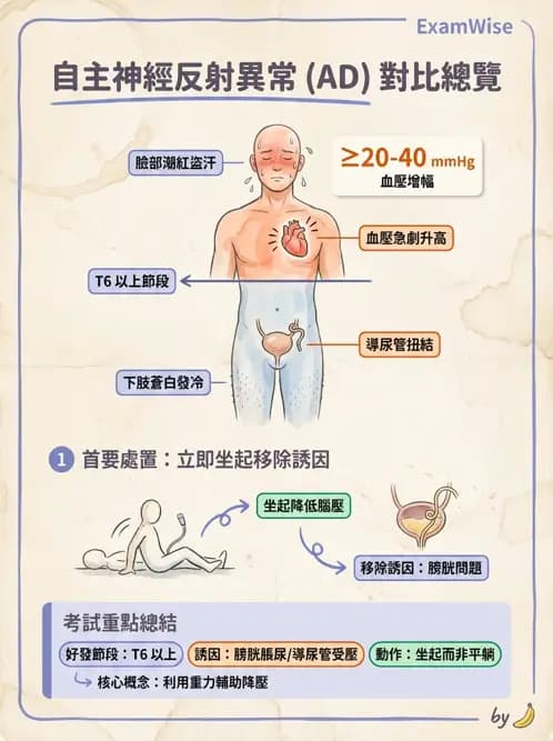 物治 - SCI併發症與呼吸管理 - AI 圖文解析預覽