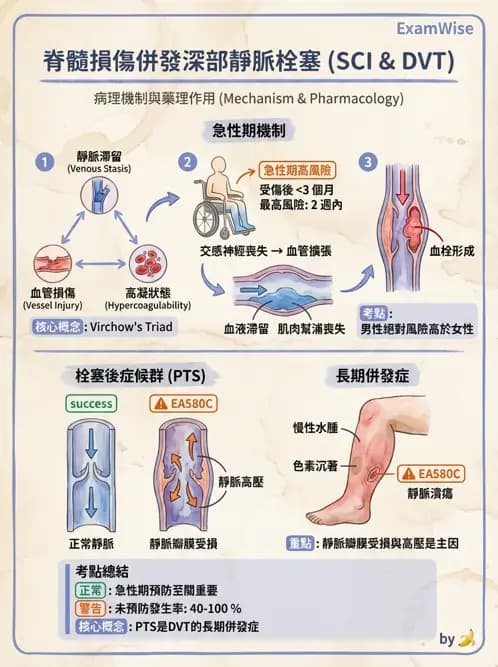 物治 - SCI併發症與呼吸管理 - AI 圖文解析預覽