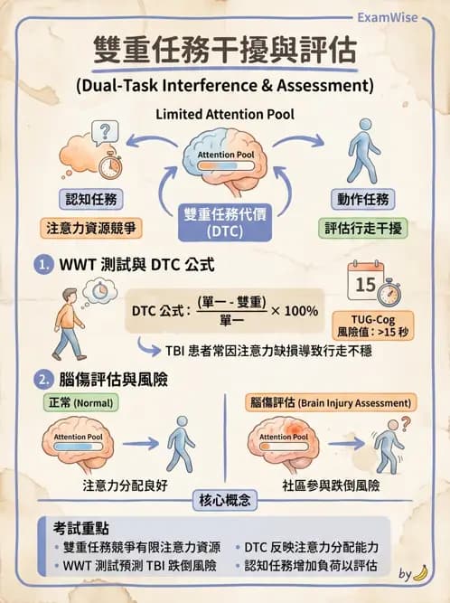物治 - TBI LOCF分級與復健 - AI 圖文解析預覽