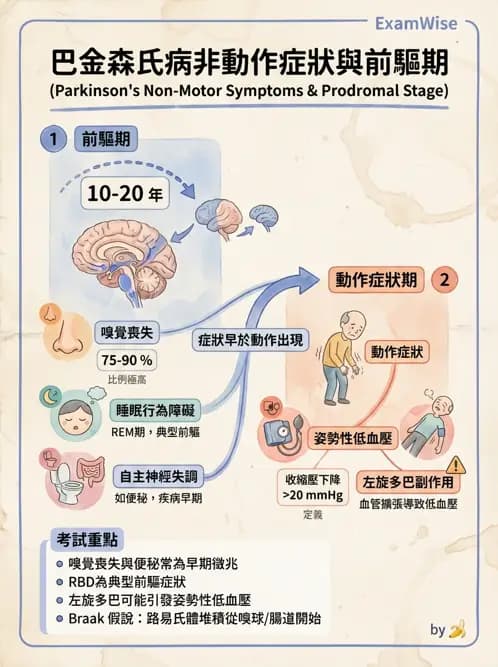 物治 - 巴金森氏病物理治療 - AI 圖文解析預覽