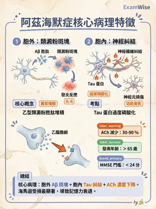 物治 - 失智症與認知退化 - AI 圖文解析預覽