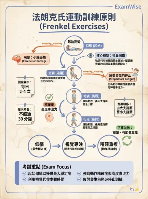 物治 - 小腦疾病物理治療 - AI 圖文解析預覽
