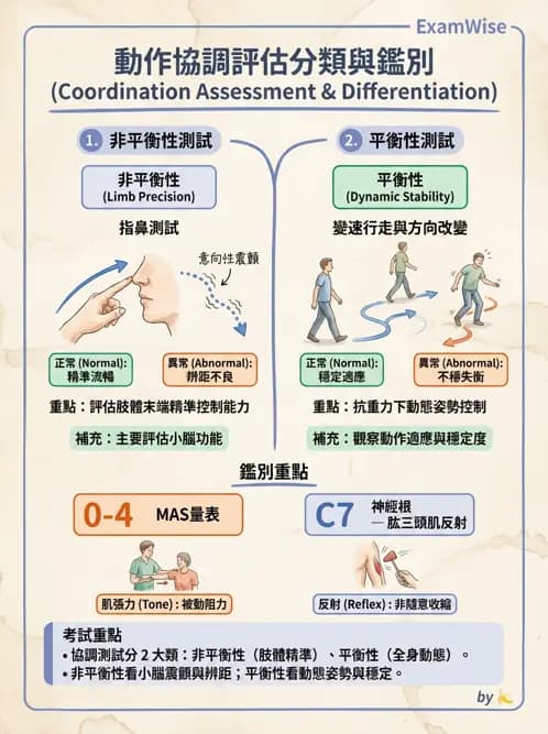 物治 - 神經物理治療評估工具 - AI 圖文解析預覽