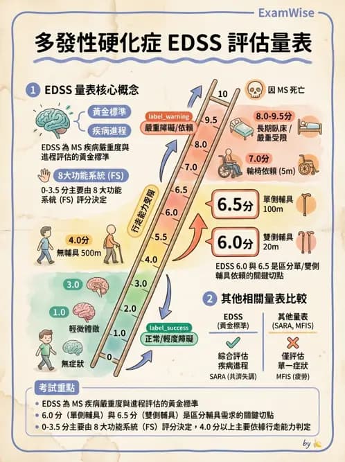 物治 - 多發性硬化症物理治療 - AI 圖文解析預覽