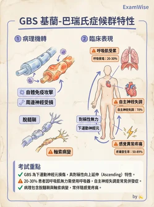 物治 - 神經肌肉疾病 - AI 圖文解析預覽