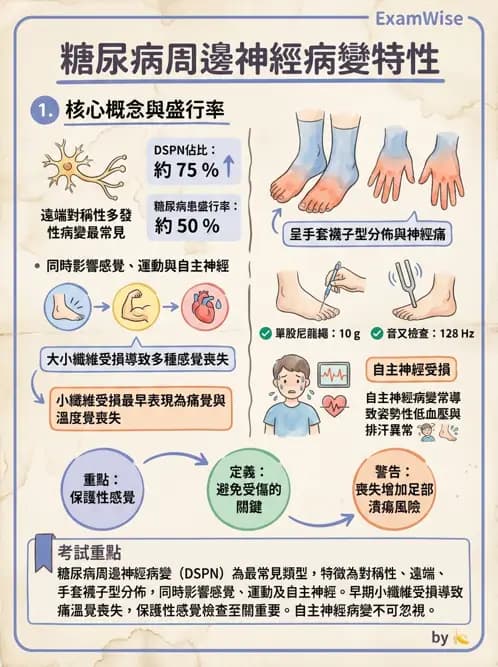 物治 - 周邊神經損傷與復健 - AI 圖文解析預覽